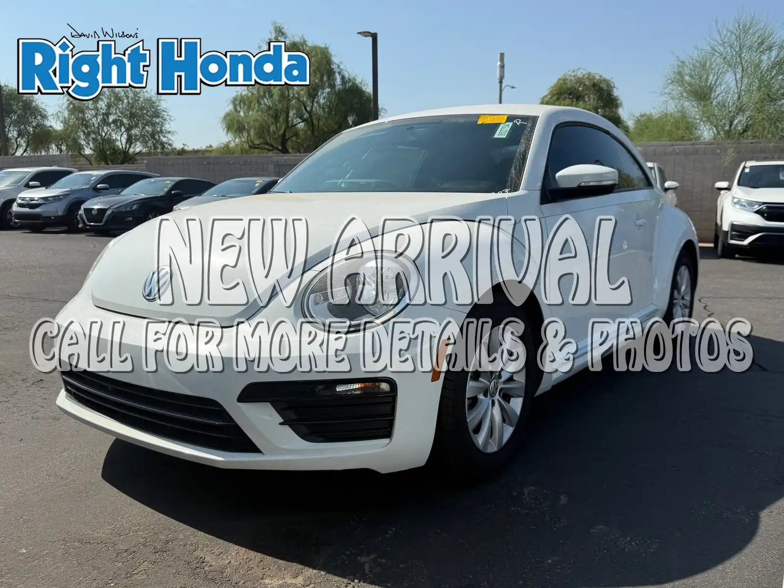 2019 Volkswagen Beetle 2.0T S Auto's photo
