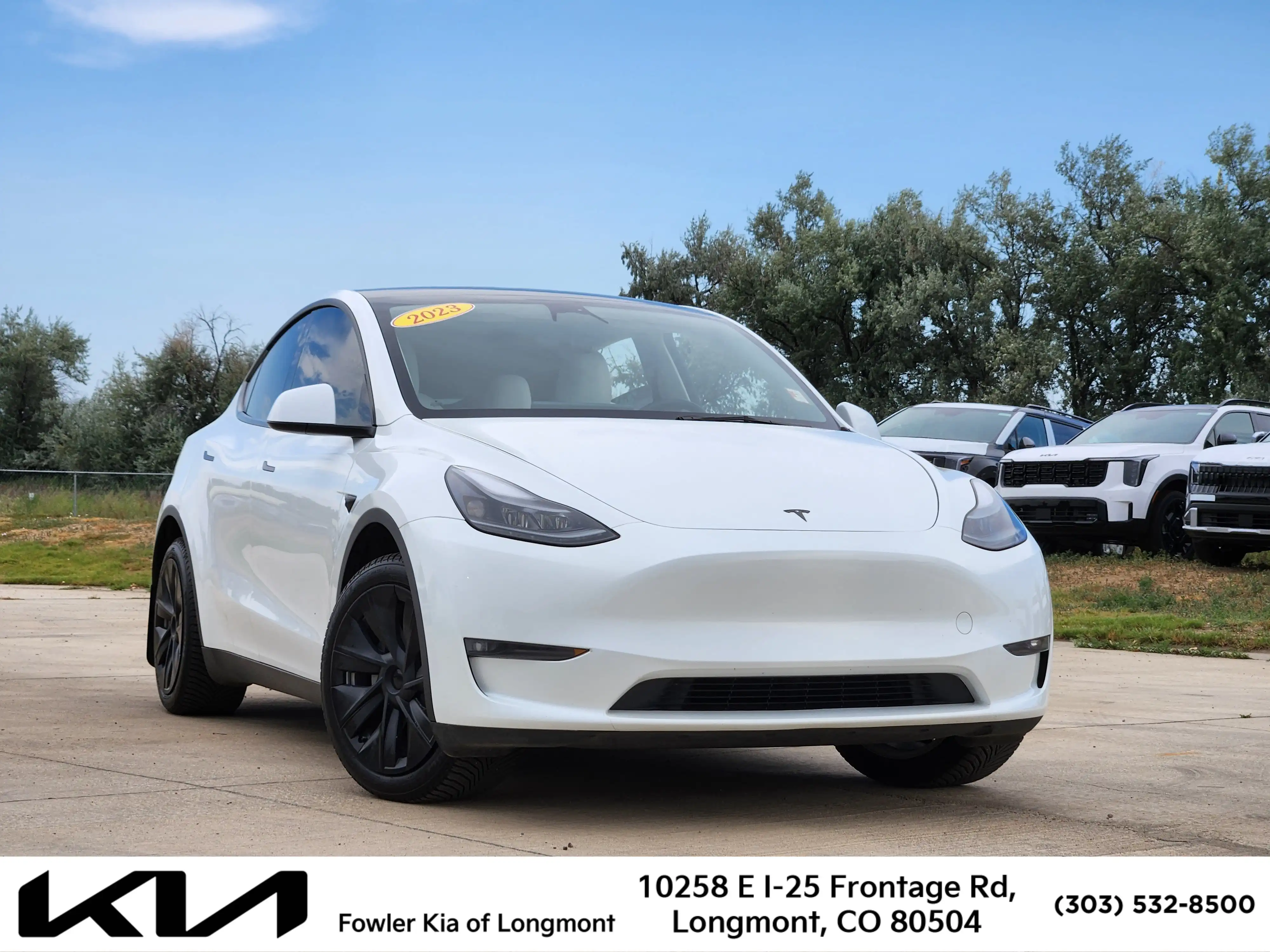 2023 Tesla Model Y Long Range Dual Motor All-Wheel Drive's photo