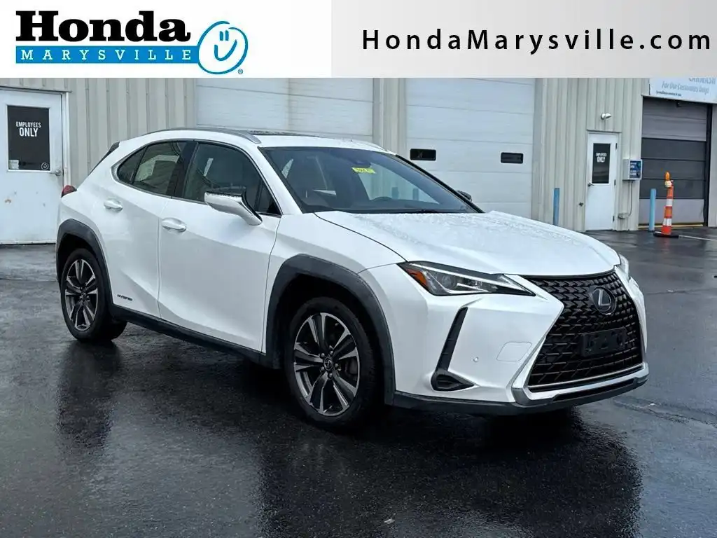 2020 Lexus UX 300h 250h AWD's photo