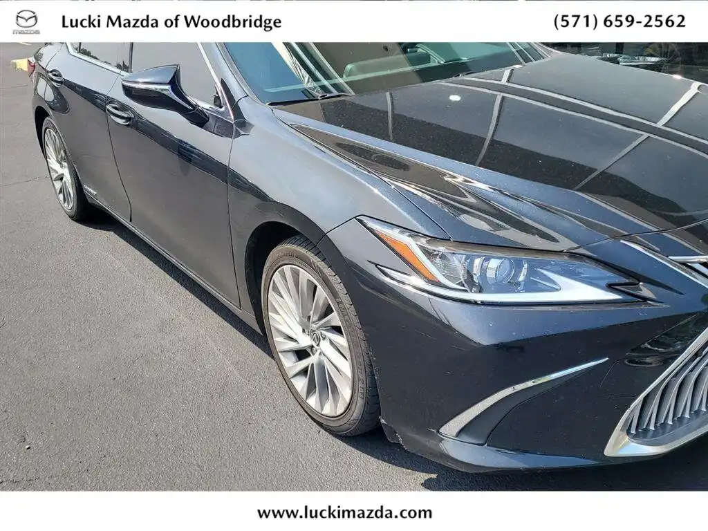 2019 Lexus ES 300h 300h Luxury's photo