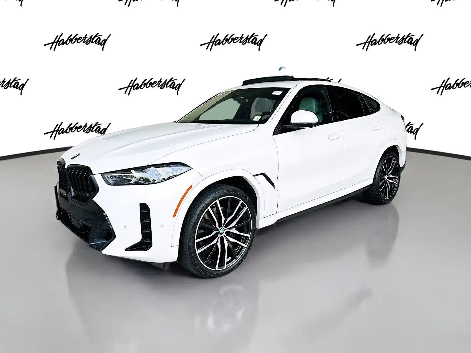 2024 BMW X6 xDrive40i's photo
