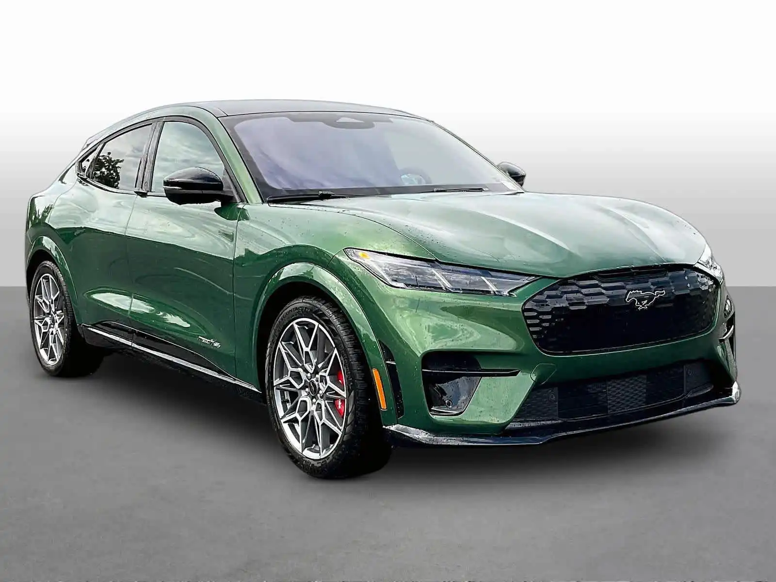 2026 Ford Mustang-Mach-e GT's photo