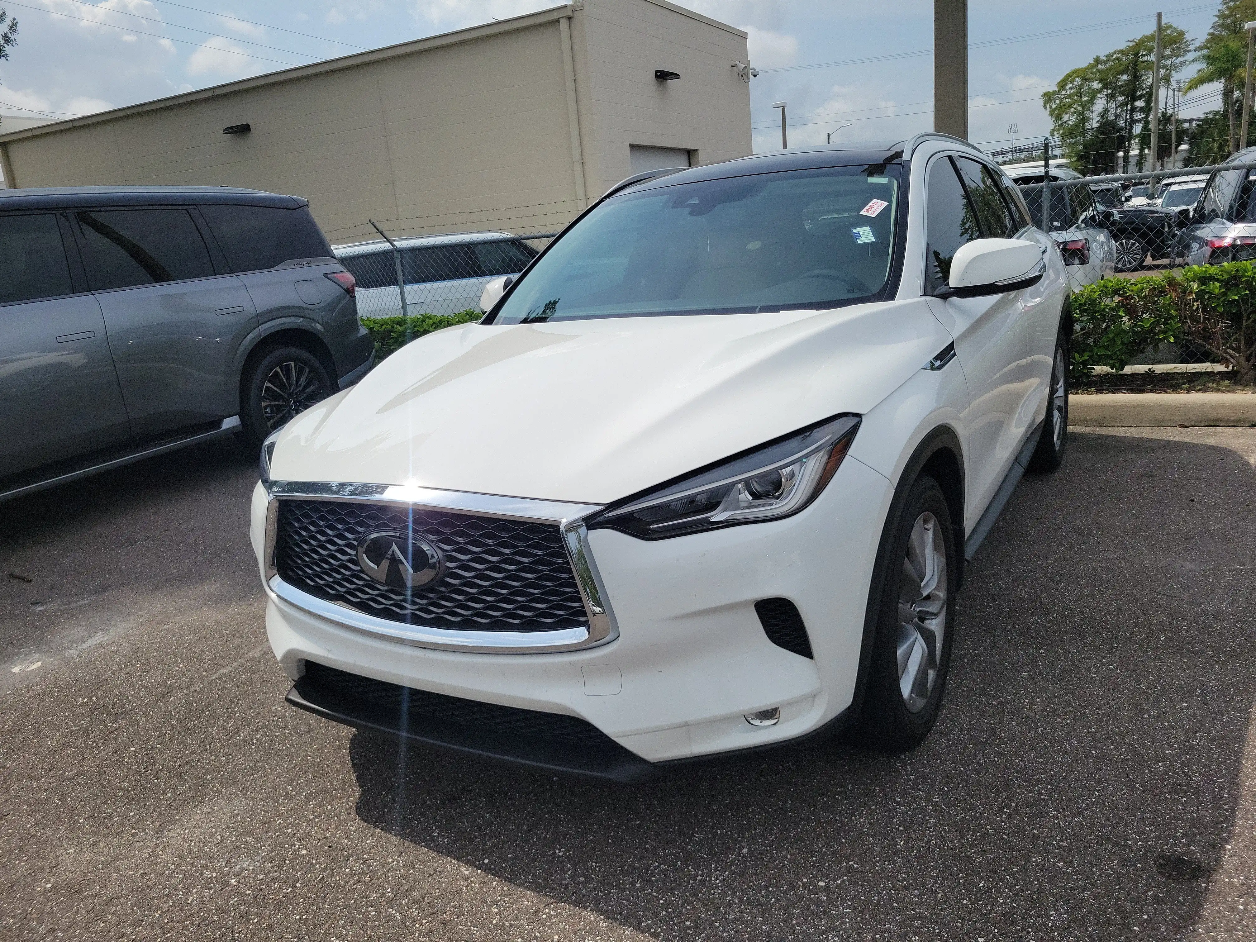 2022 INFINITI QX50 Luxe FWD's photo
