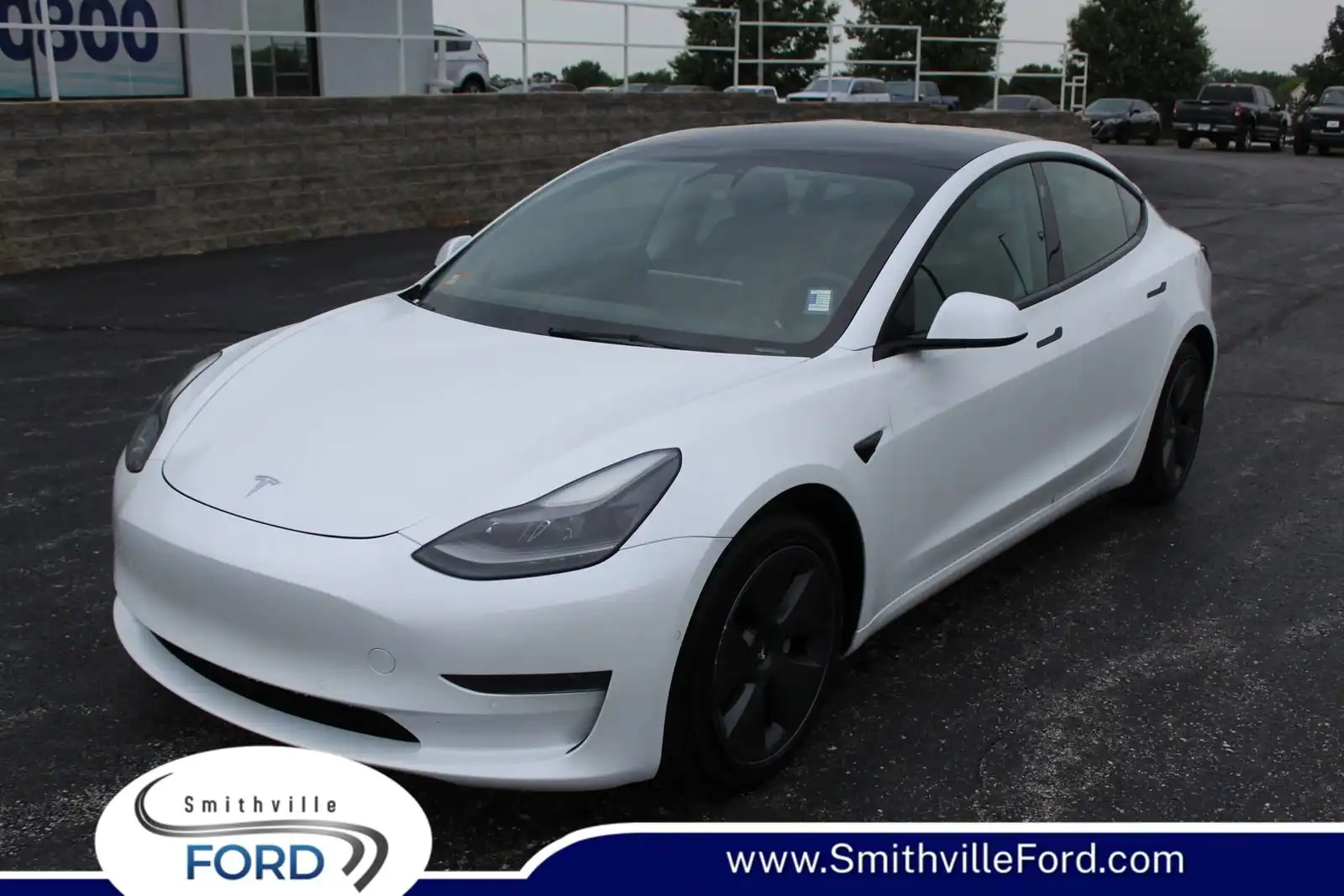 2021 Tesla Model 3 Standard Range Plus's photo