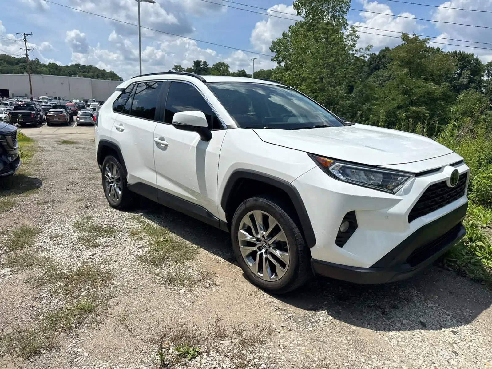 2019 Toyota RAV4 XLE Premium AWD's photo