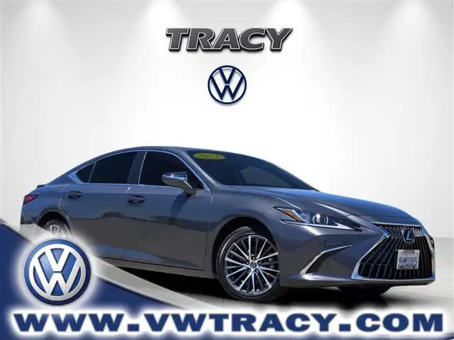 2024 Lexus ES 300h 300h's photo