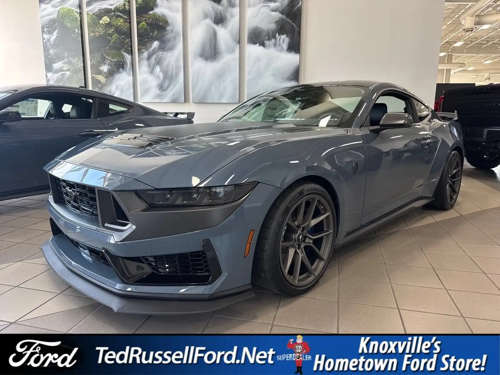 2026 Ford Mustang Dark Horse's photo