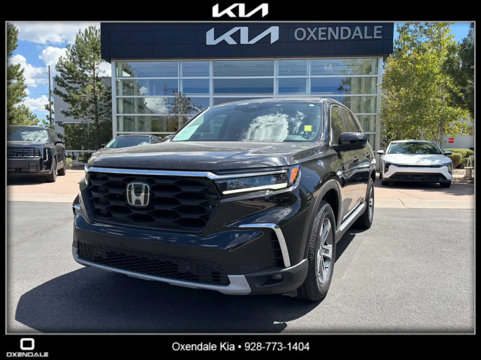2023 Honda Pilot EX-L AWD 8-Passenger's photo