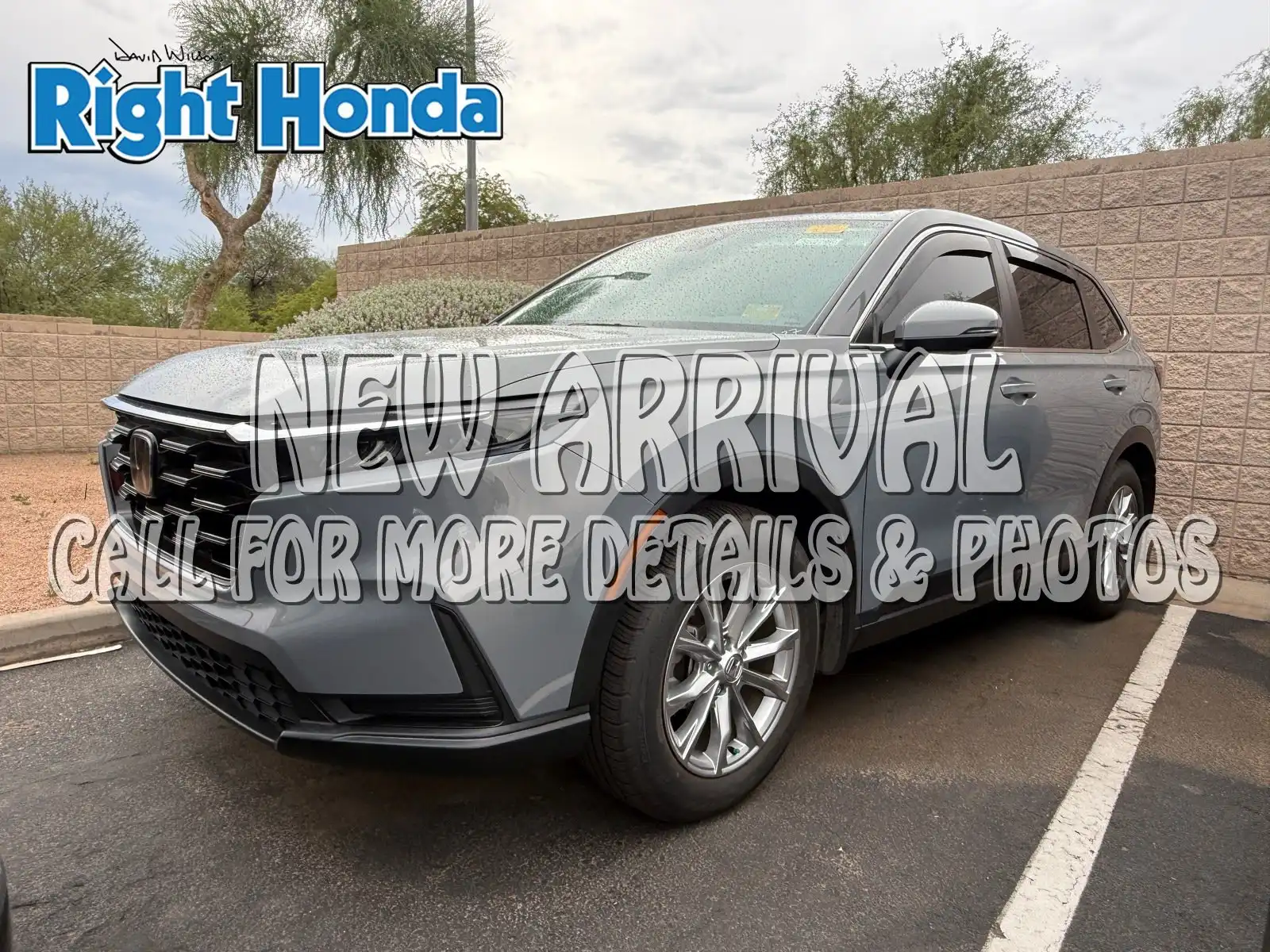 2024 Honda CR-V EX AWD's photo