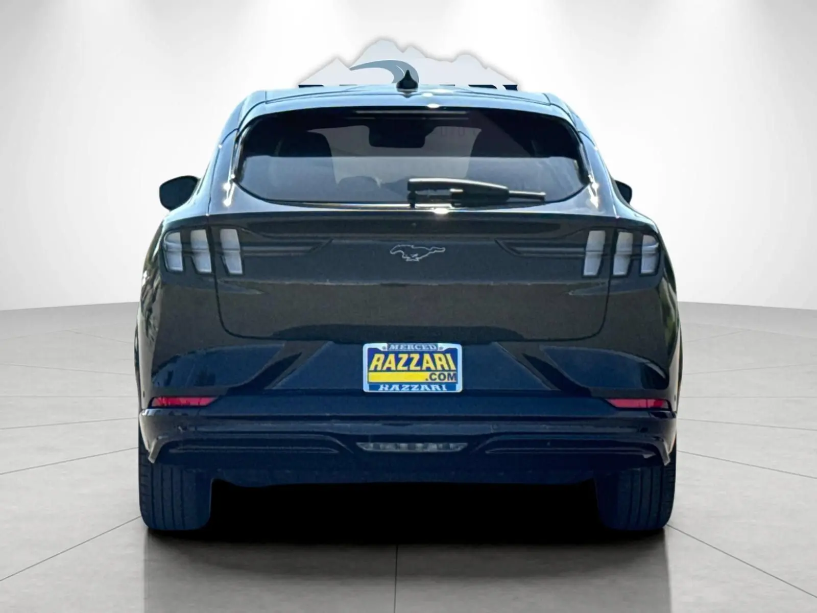 2022 Ford Mustang-Mach-e Premium photo 4