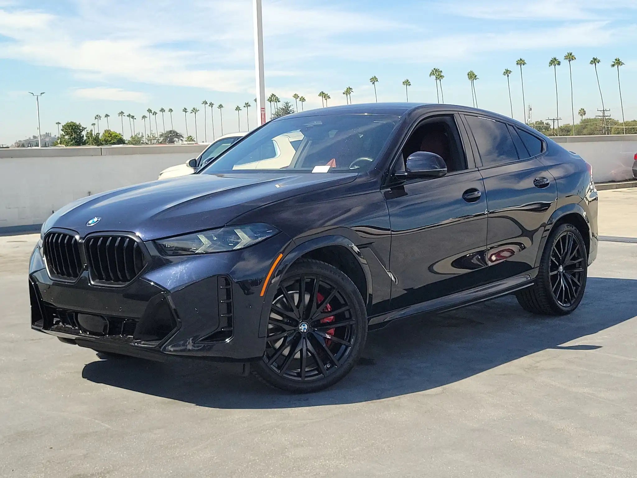 2024 BMW X6 xDrive40i's photo