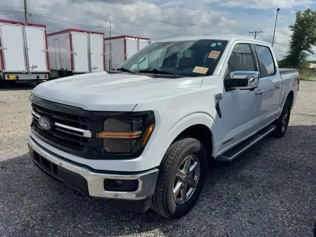 2024 Ford F-150 XLT 4WD SuperCrew 5-1/2' Box's photo
