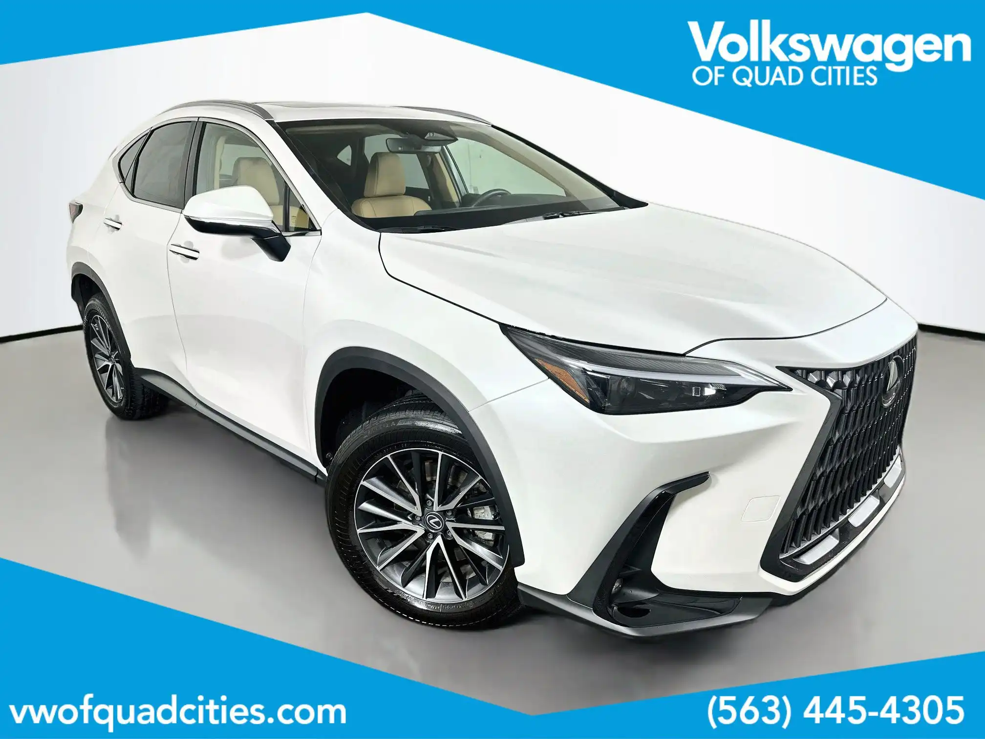 2024 Lexus NX 350h 350h AWD's photo