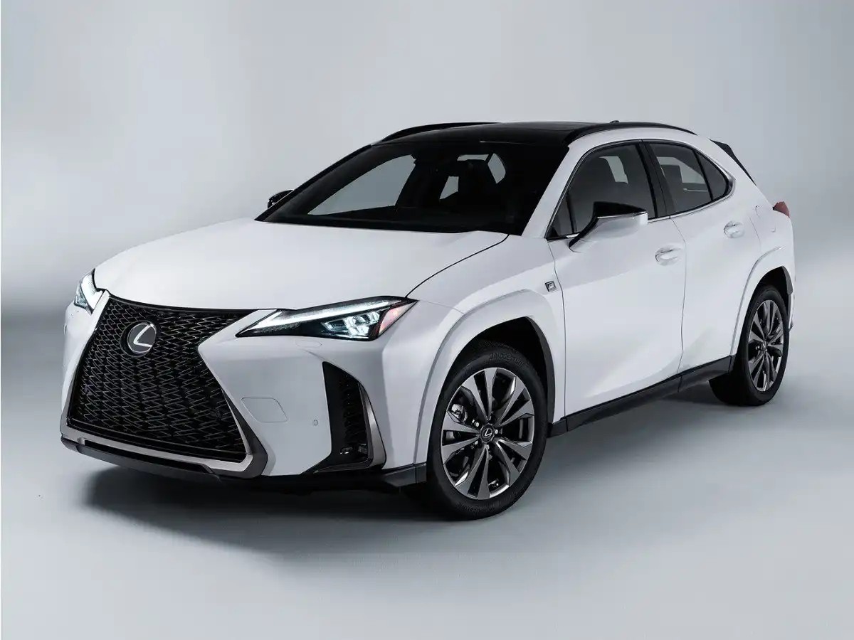 2024 Lexus UX 300h 250h Premium AWD's photo