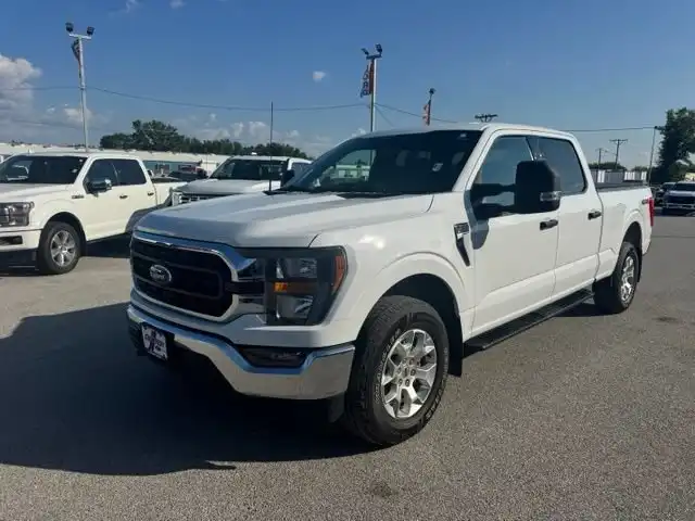 2023 Ford F-150 XLT 4WD SuperCrew 6-1/2' Box's photo