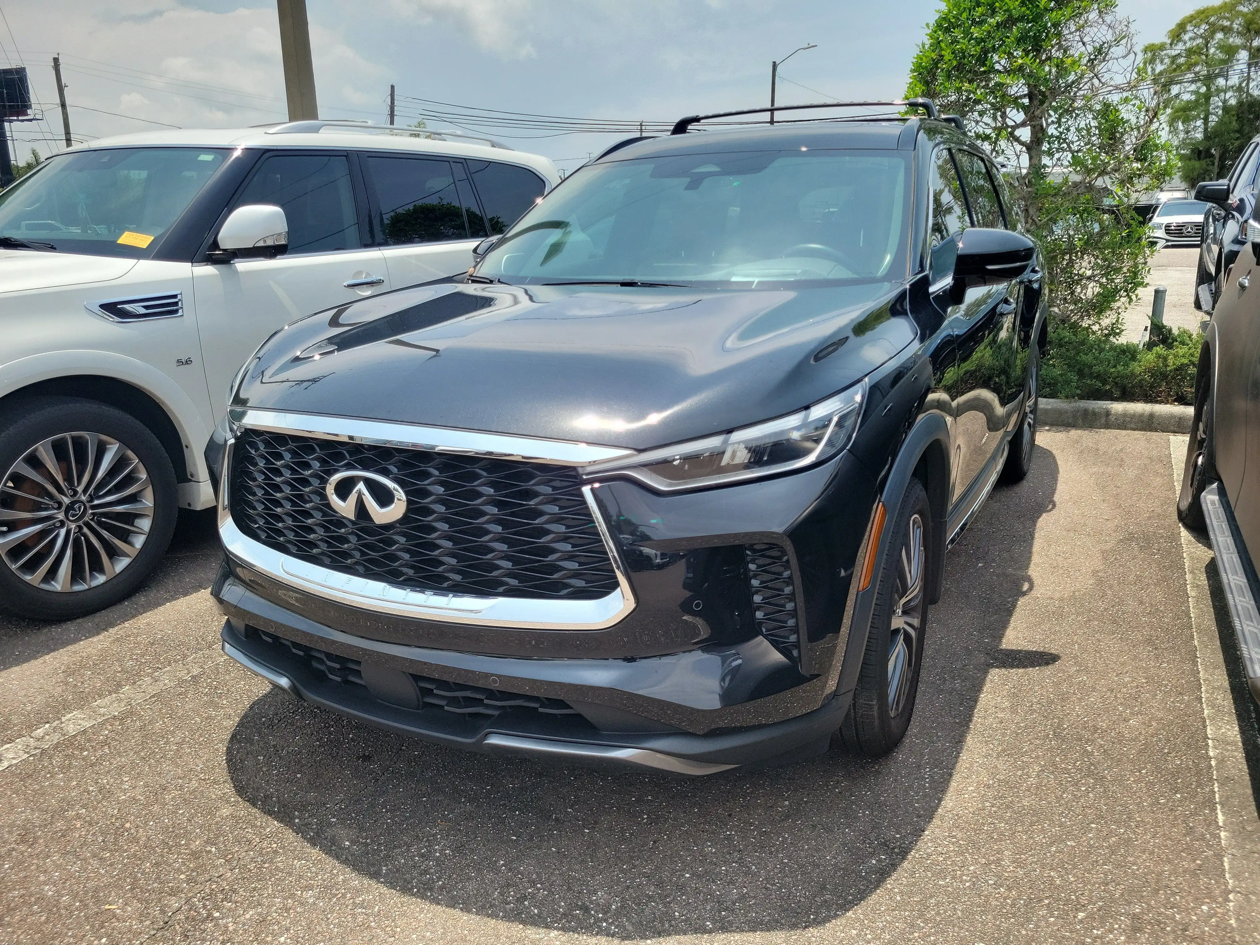 2023 INFINITI QX60 AUTOGRAPH's photo