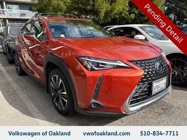 2019 Lexus UX 300h 250h AWD's photo