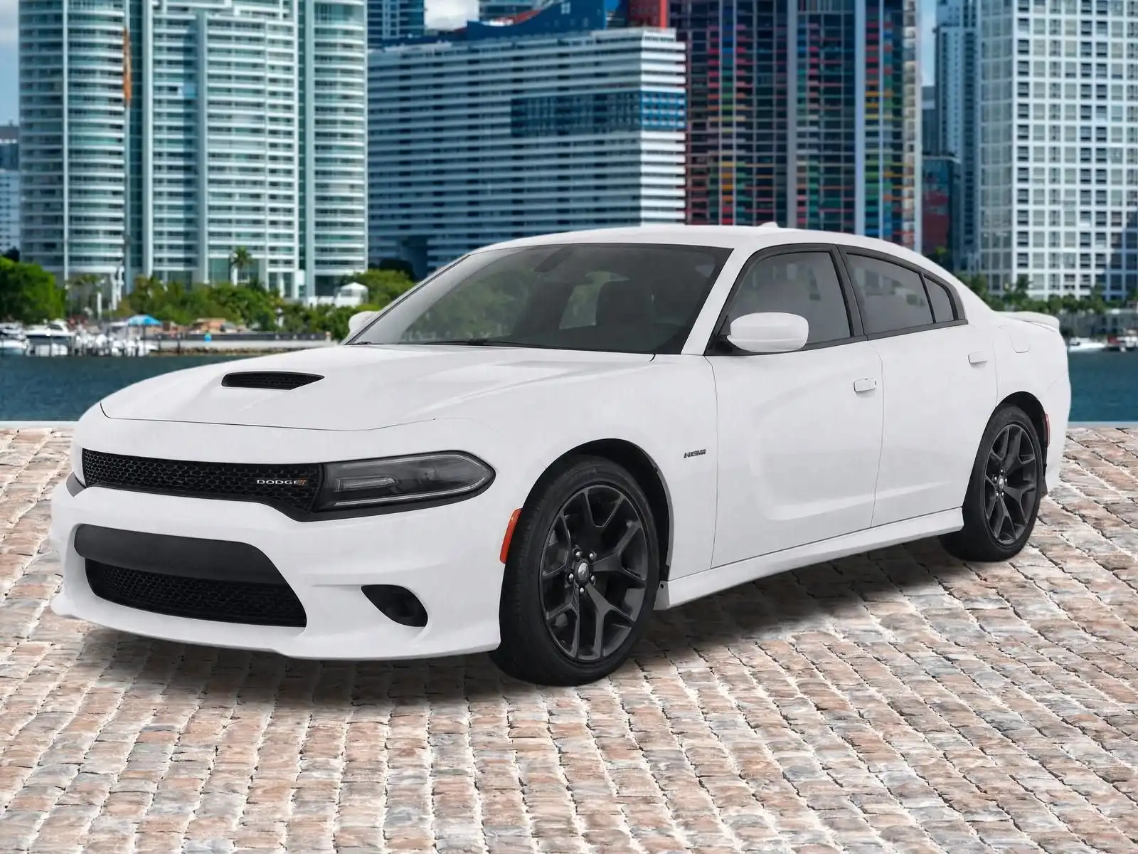 2019 Dodge Charger R/T's photo
