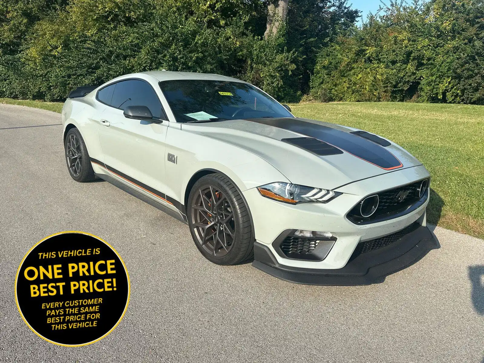 2023 Ford Mustang Mach 1's photo