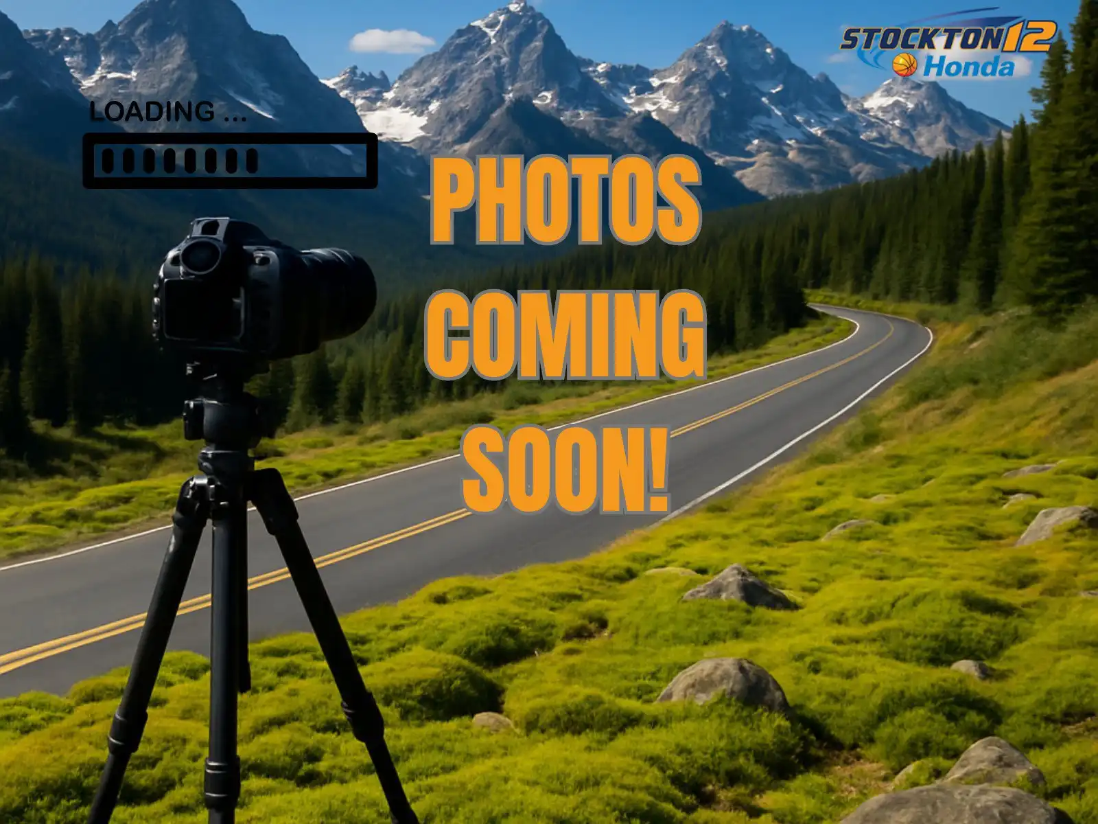 2024 Honda Pilot Elite AWD's photo