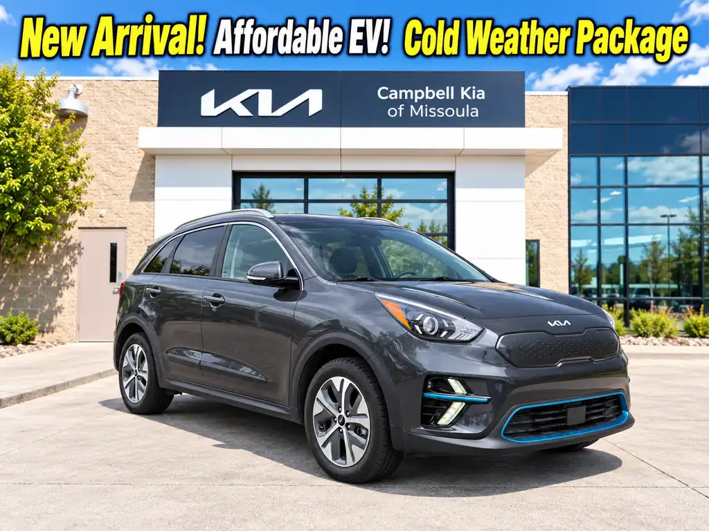 2022 Kia Niro EV EX's photo