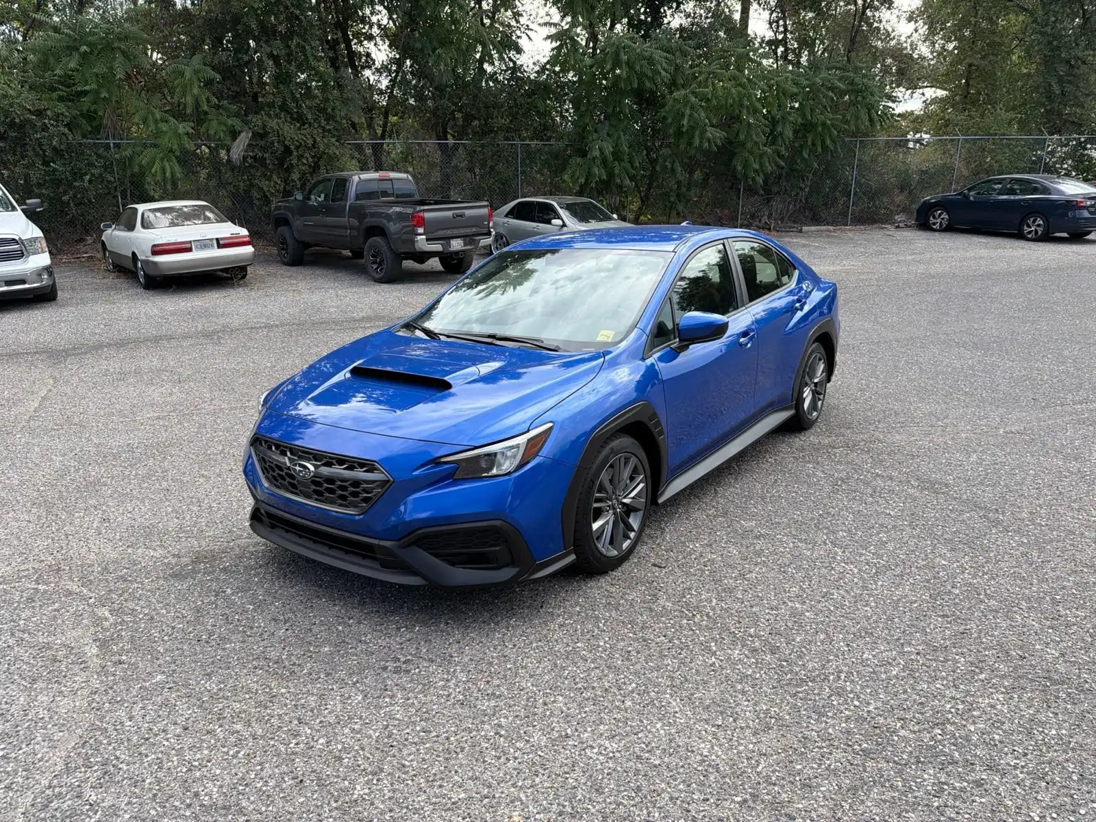 2024 Subaru WRX Base's photo
