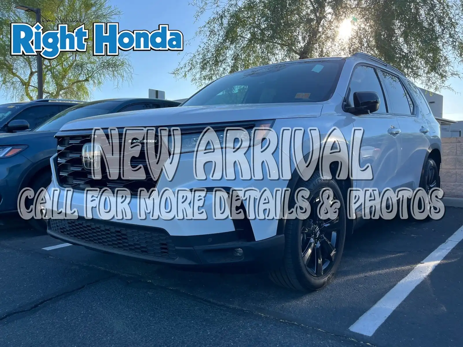 2025 Honda Pilot Black Edition AWD's photo