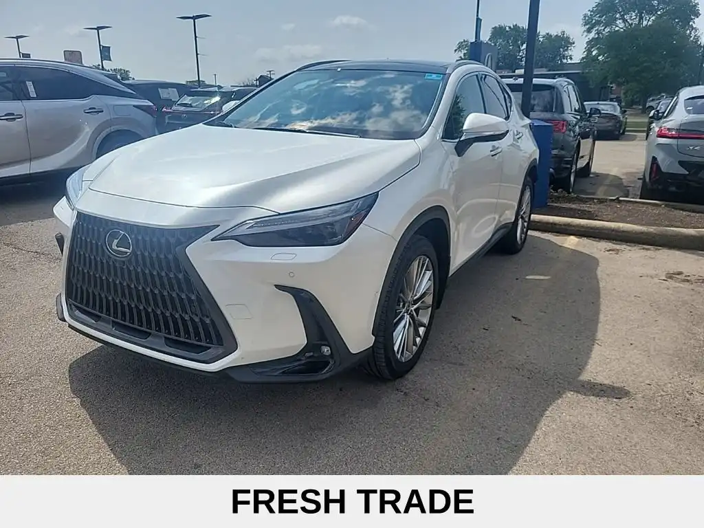 2024 Lexus NX 350h 350h Luxury AWD's photo