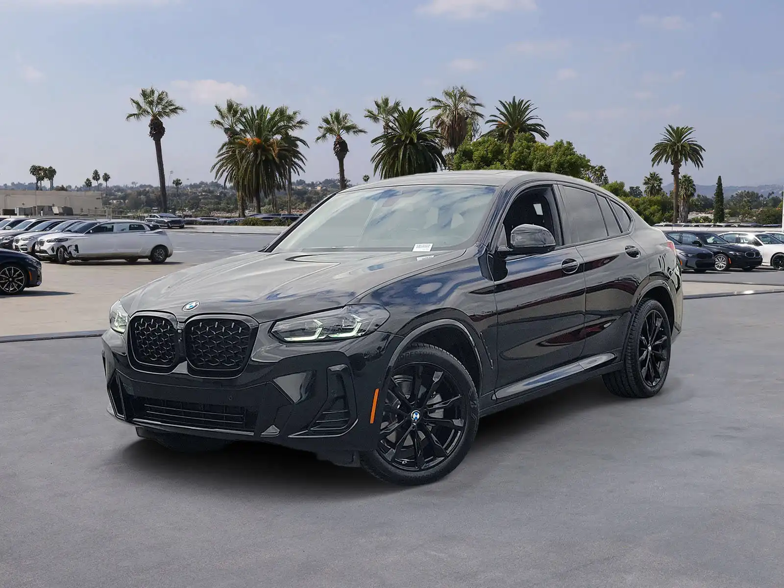 2025 BMW X4 xDrive30i's photo