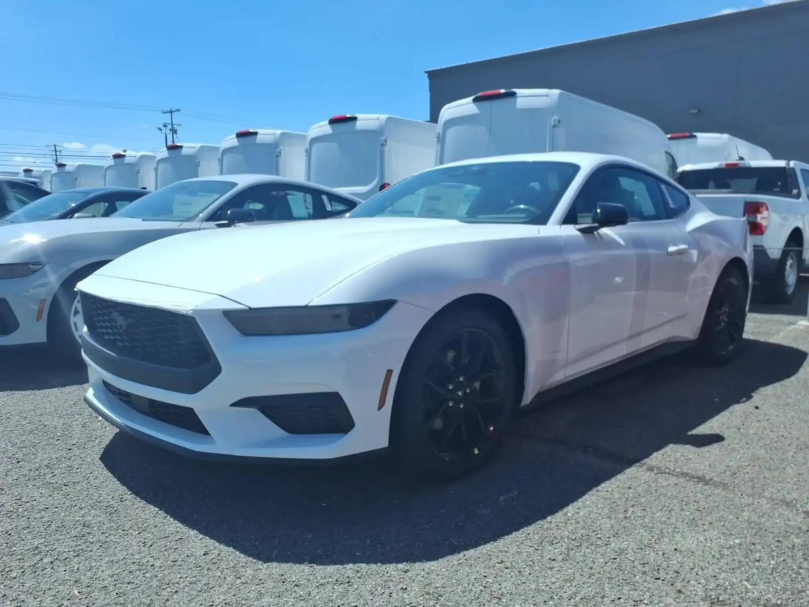 2026 Ford Mustang EcoBoost Fastback's photo