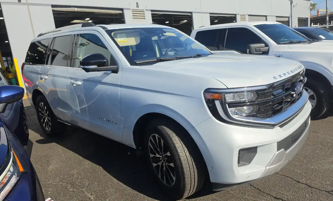2025 Ford Expedition Platinum 4x4's photo