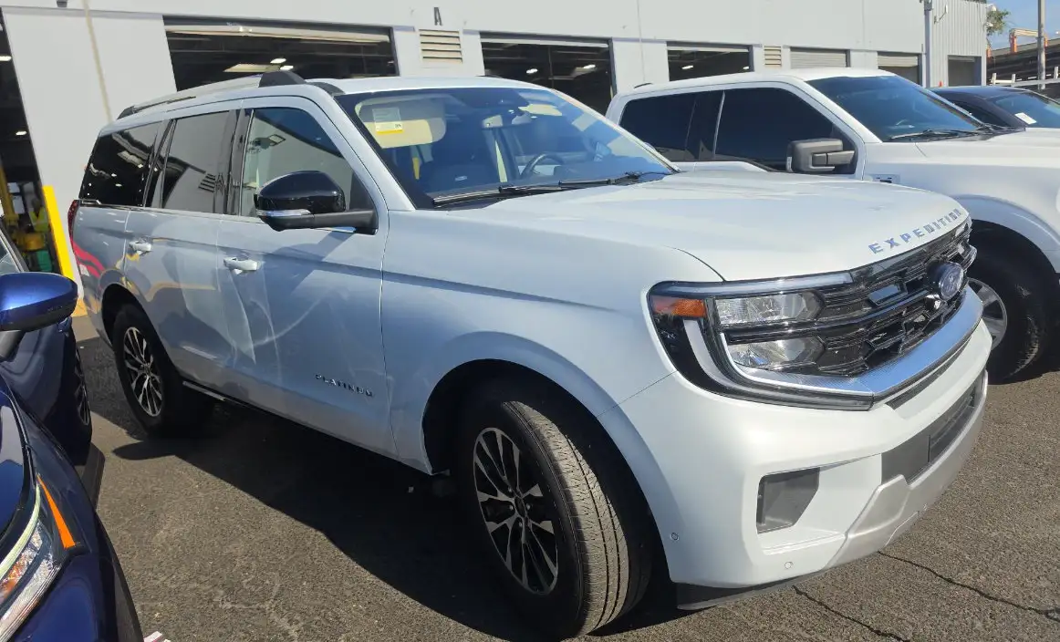 2025 Ford Expedition Platinum 4x4's photo