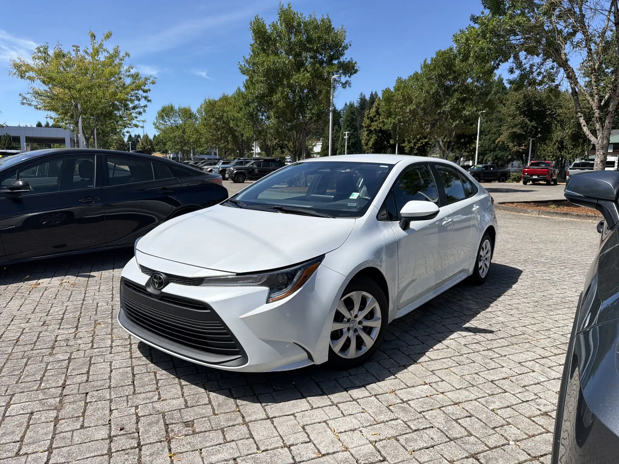 2025 Toyota Corolla LE CVT's photo