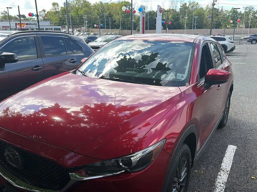 2019 Mazda CX-5 Touring AWD Auto's photo