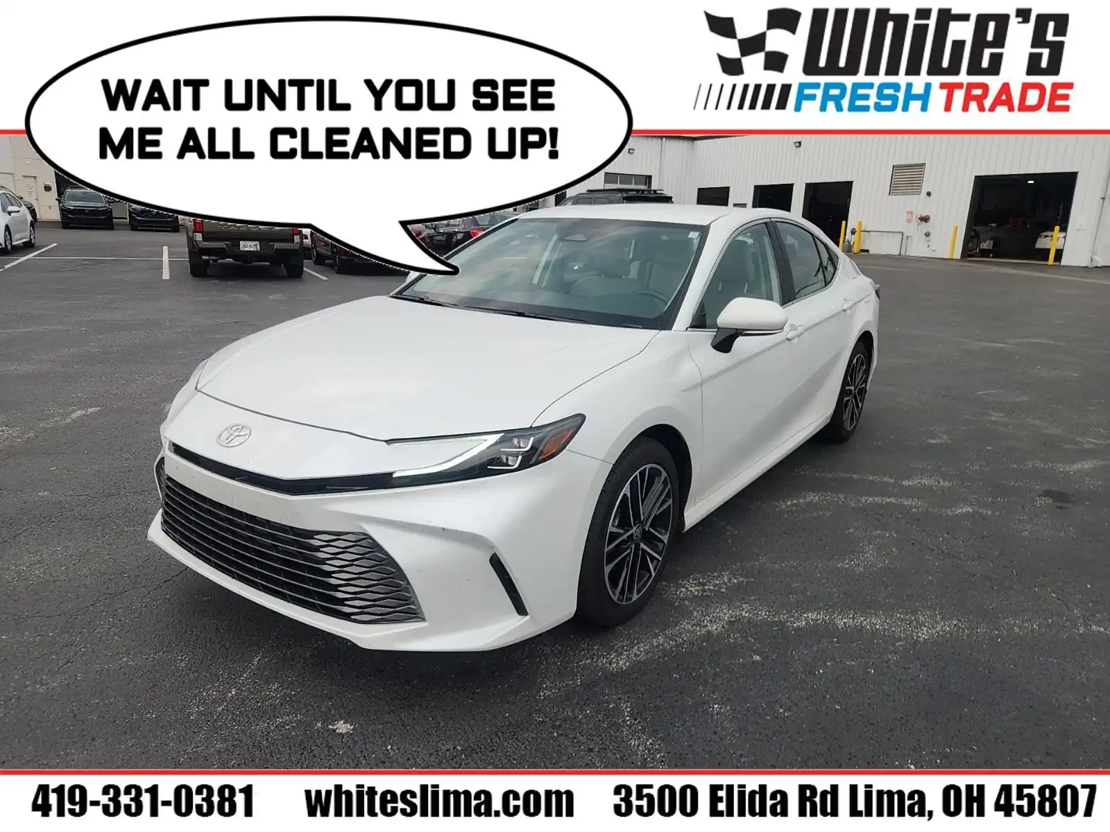 2025 Toyota Camry XLE AWD Hybrid's photo
