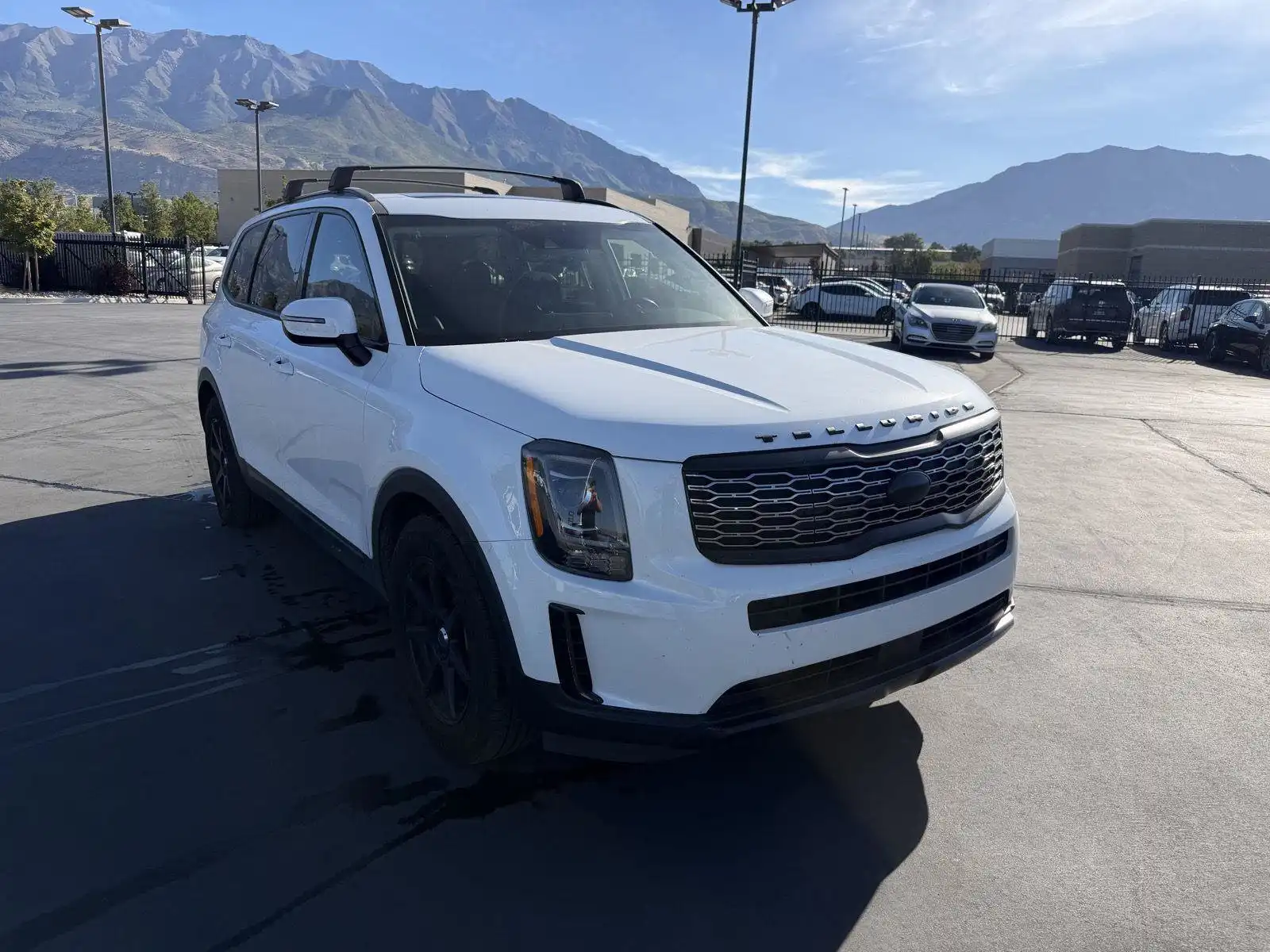 2020 Kia Telluride EX AWD's photo