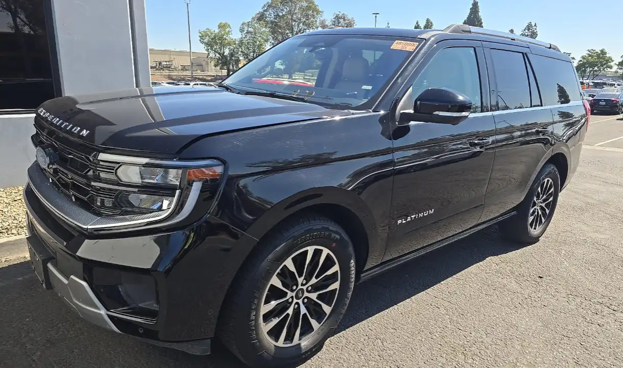 2025 Ford Expedition Platinum 4WD's photo