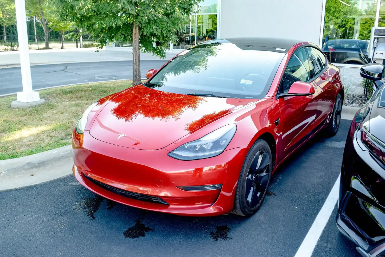 2023 Tesla Model 3 Long Range's photo