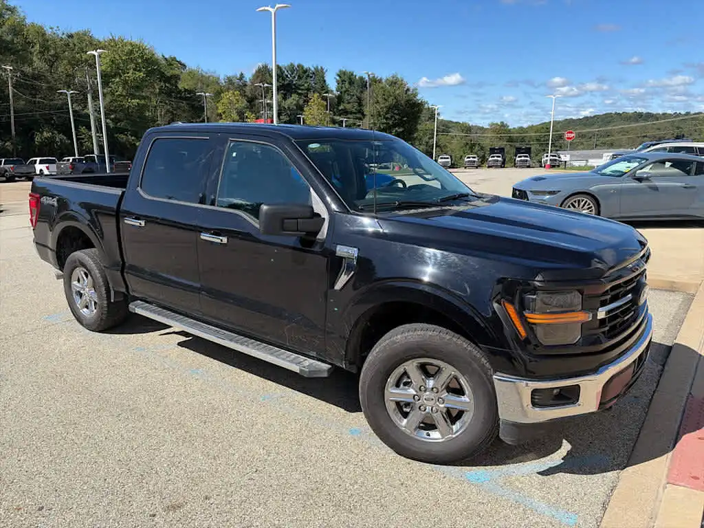2025 Ford F-150 XLT 4WD SuperCrew 5-1/2' Box's photo