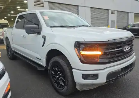 2024 Ford F-150 XLT 4x4 SuperCrew 5-1/2 Box's photo