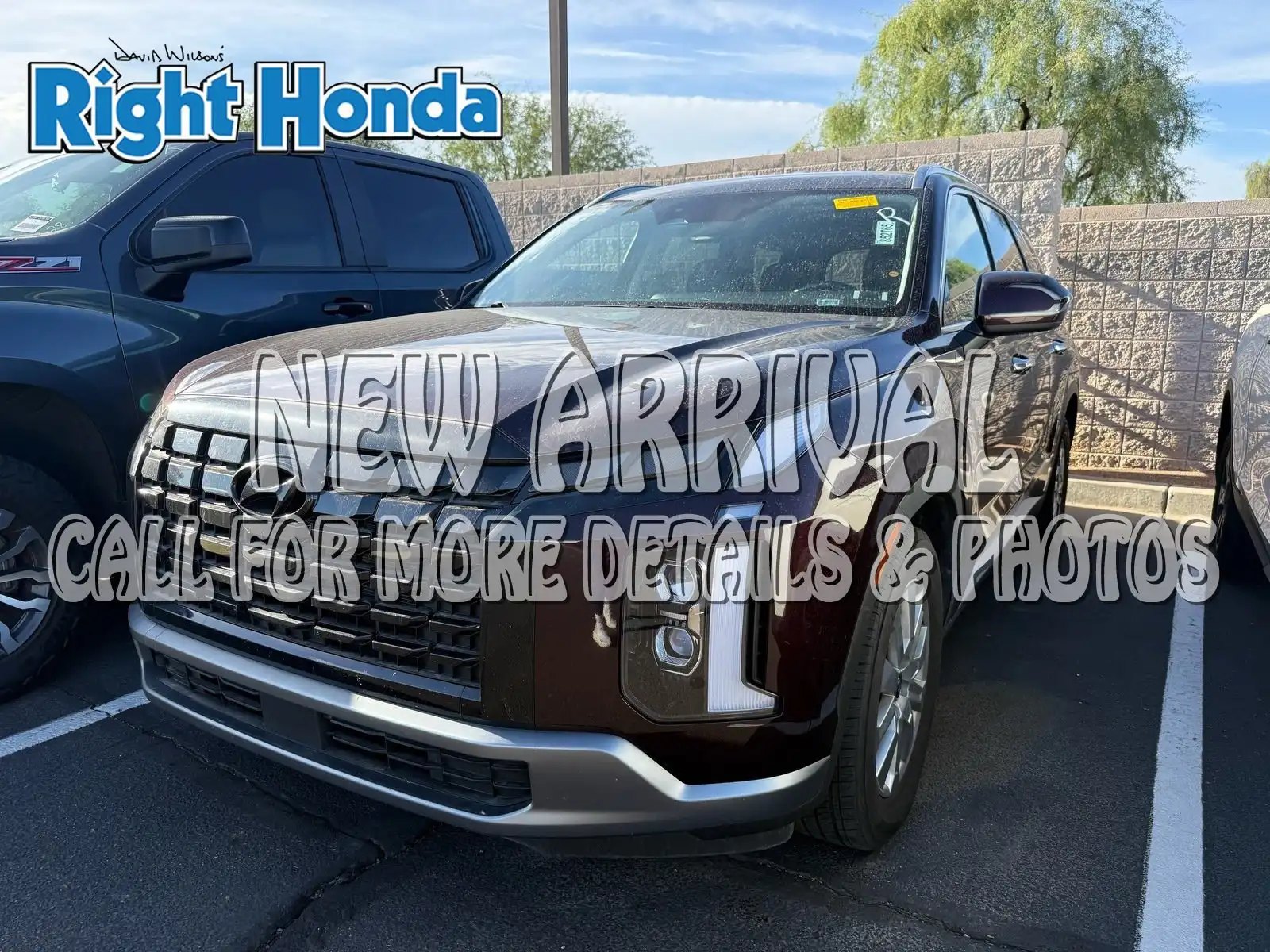 2025 Hyundai Palisade SEL FWD's photo