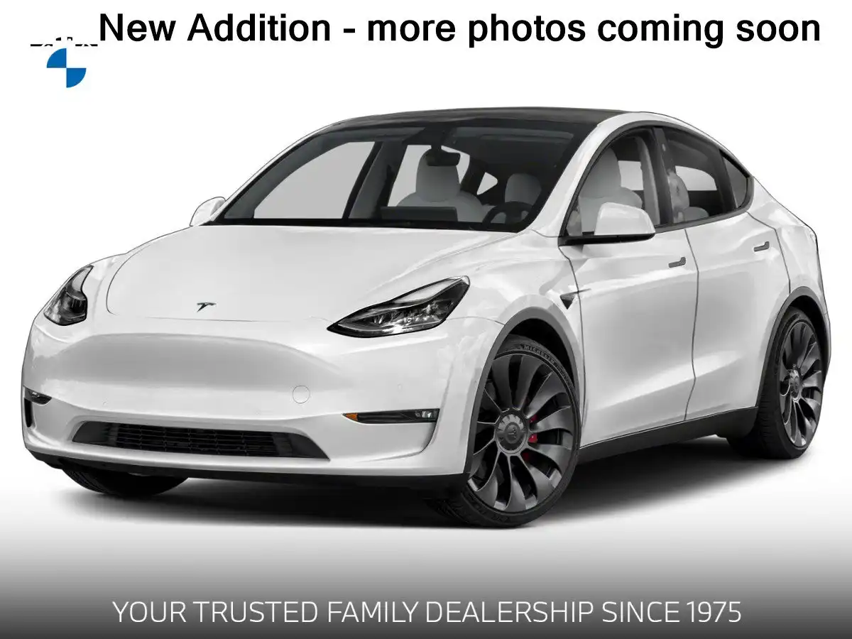 2022 Tesla Model Y Long Range Dual Motor All-Wheel Drive's photo