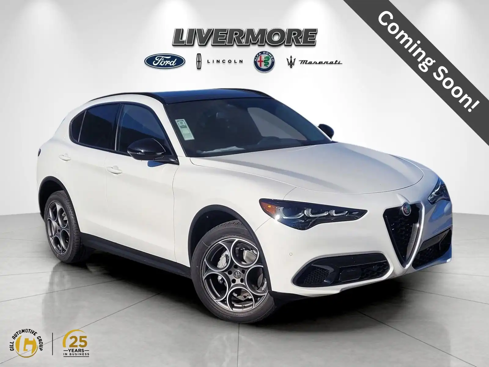 2025 Alfa Romeo Stelvio Stelvio AWD's photo