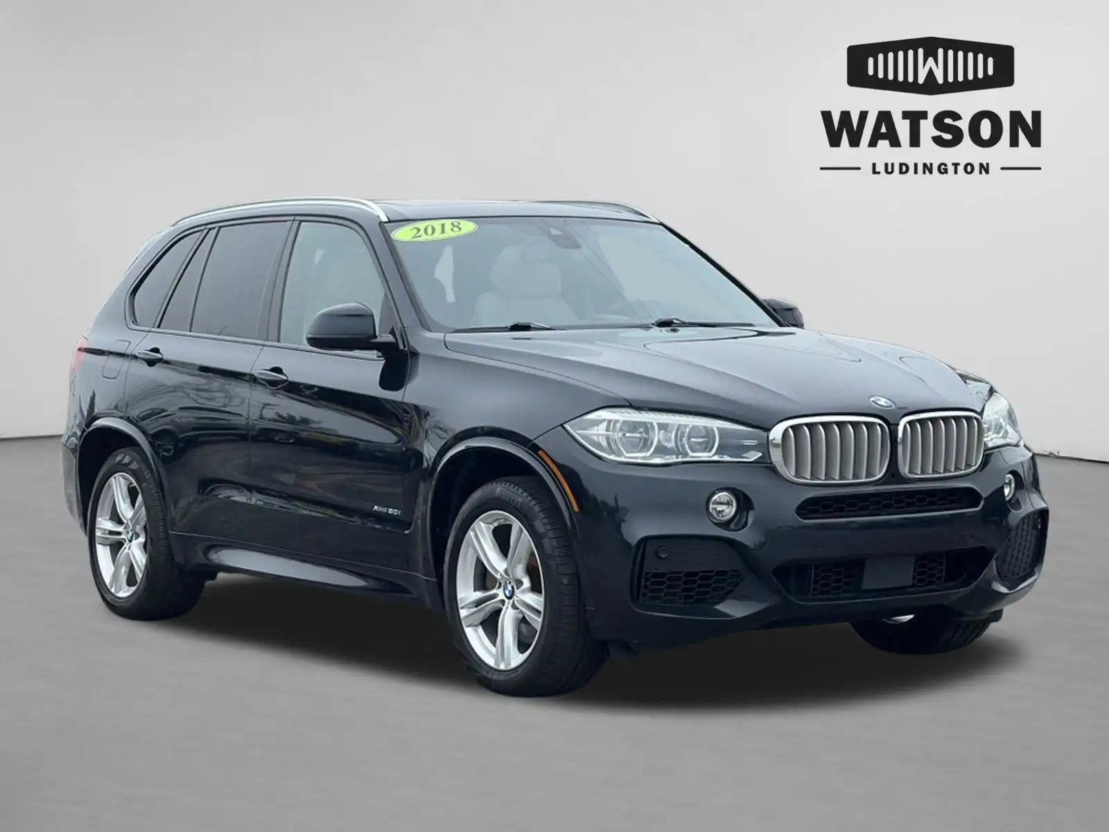 2018 BMW X5 xDrive50i's photo