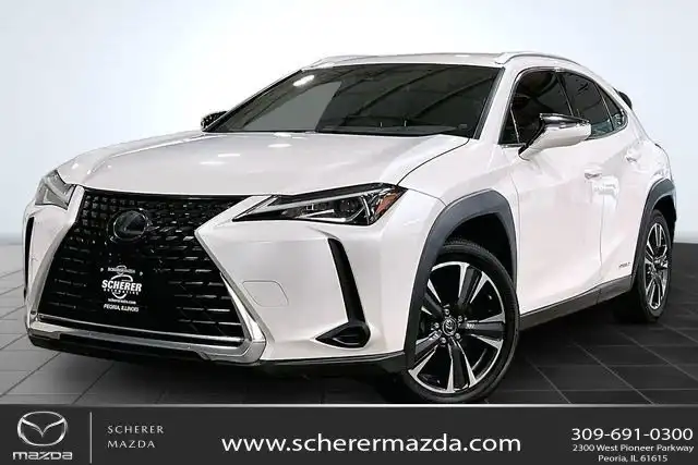 2019 Lexus UX 300h 250h AWD's photo