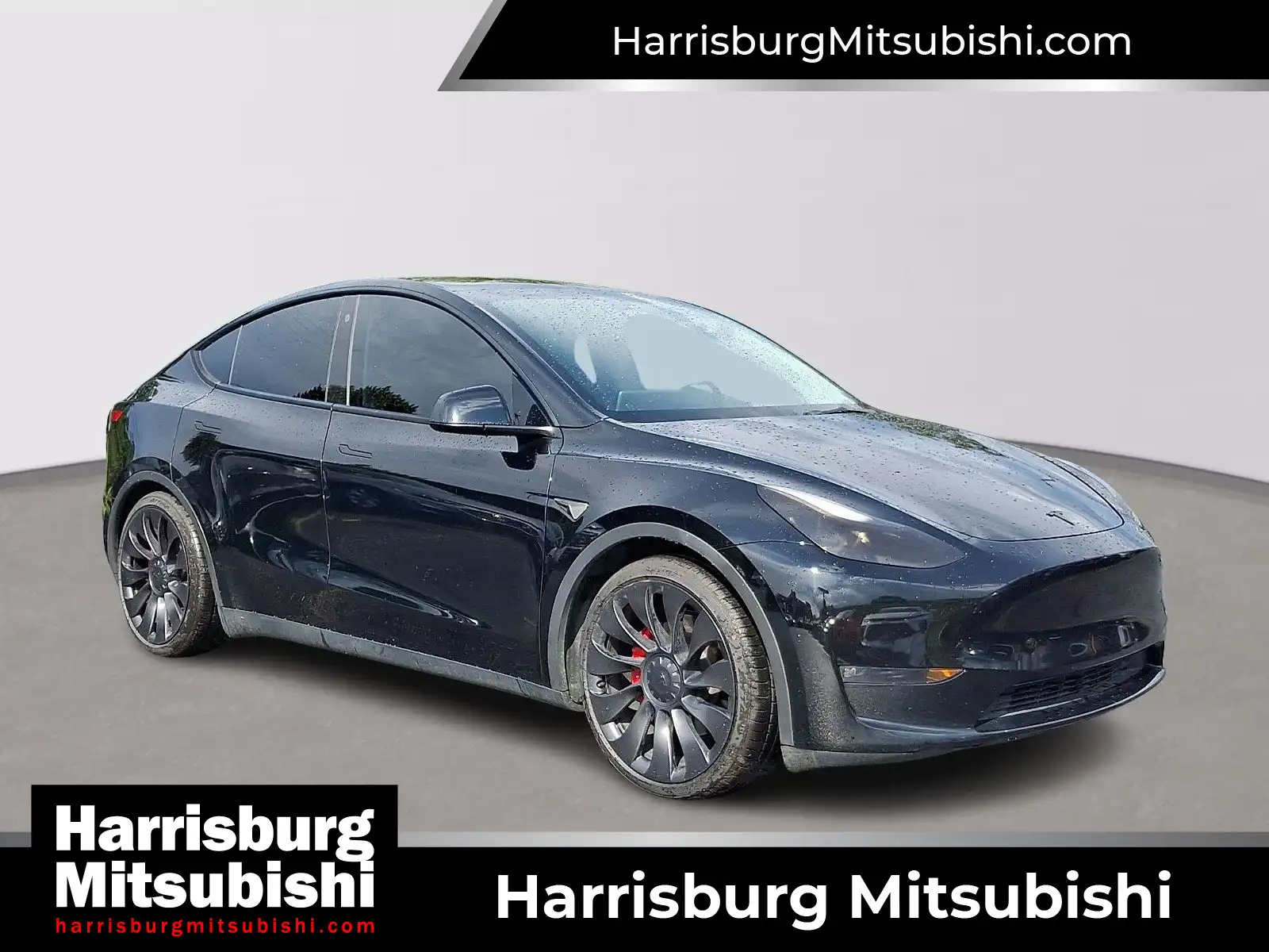 2023 Tesla Model Y Performance Dual Motor AWD's photo