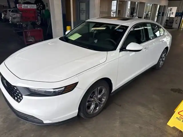 2024 Honda Accord 1.5T EX CVT's photo