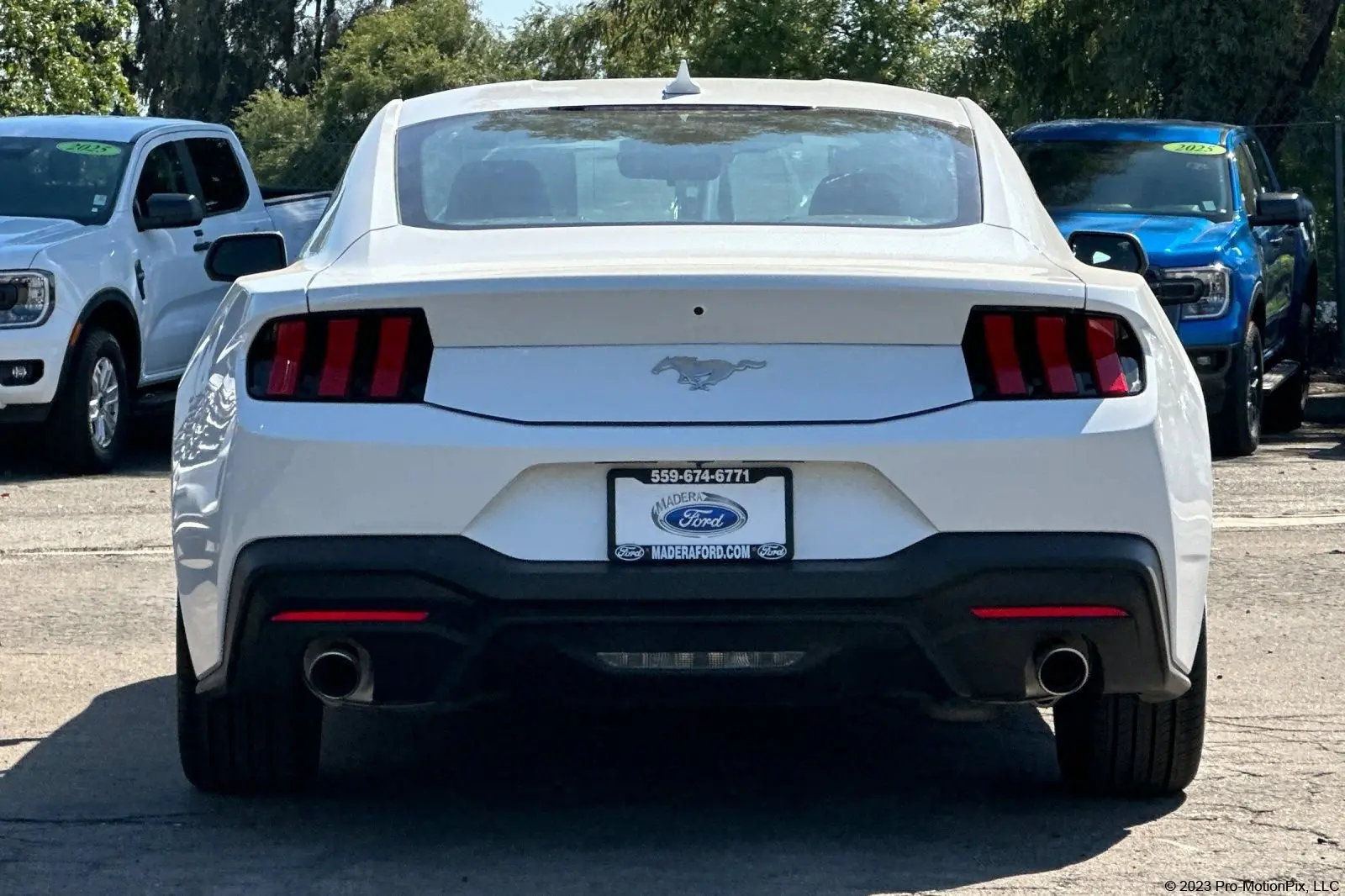 2024 Ford Mustang EcoBoost Fastback photo 5