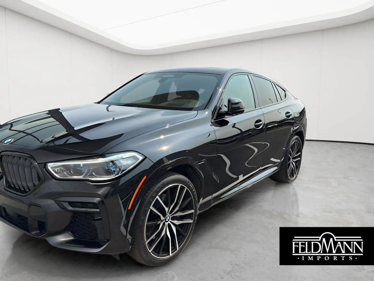 2023 BMW X6 xDrive40i's photo