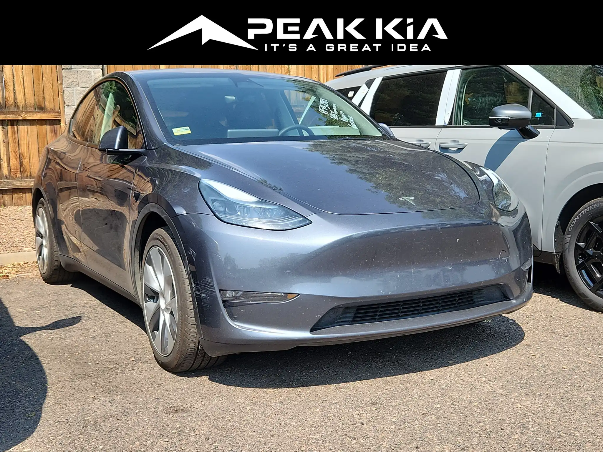 2023 Tesla Model Y Long Range Dual Motor All-Wheel Drive's photo